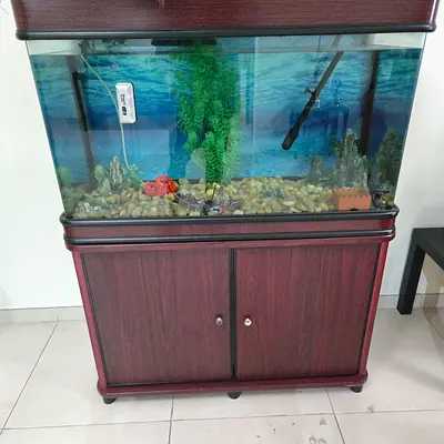 Used Aquarium Tank with Wooden Cabinet Stand (Medium) - Ready to Set Up