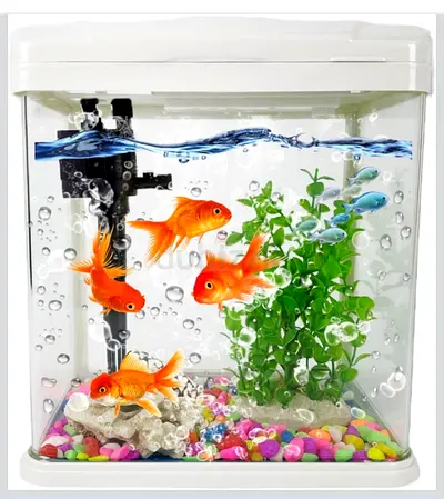 Small  Aquarium Tank only  - White