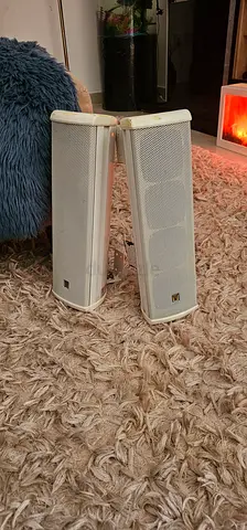 Venue Audio LC-304G wall mount speakers