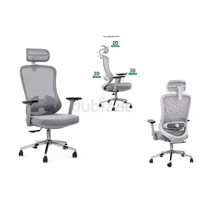Ergonomic Mesh Office Chair with 2D Lumbar  3D Armrests – Grey