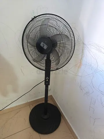 Table fan