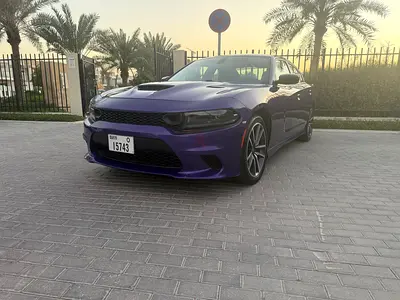 NO DEPOSIT / FREE DELVERY -CRYPTO PAYMENT / Tabby TAMARA Accepted