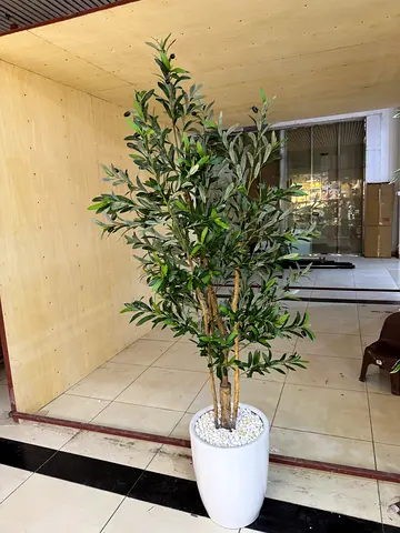Tall artificial olive tree in white pot