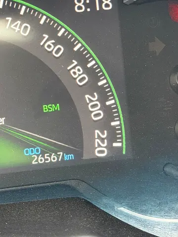 2024 Toyota RAV 4 照片 15