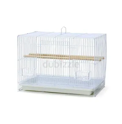Birds cage