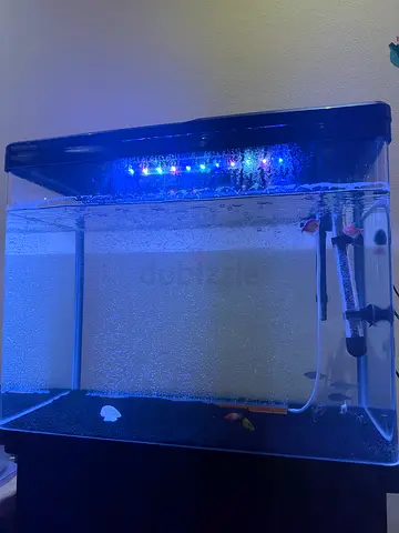 Fish aquarium with all accessories and fishes
