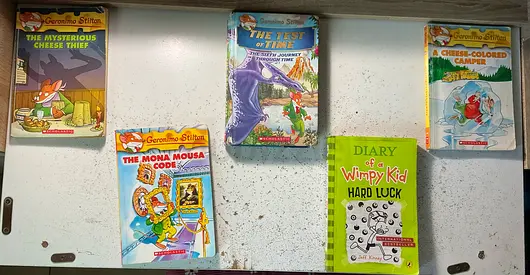 Collection: Geronimo Stilton (4 books) + The Mona Mousa Code + Diary of a Wimpy Kid: Hard Luck