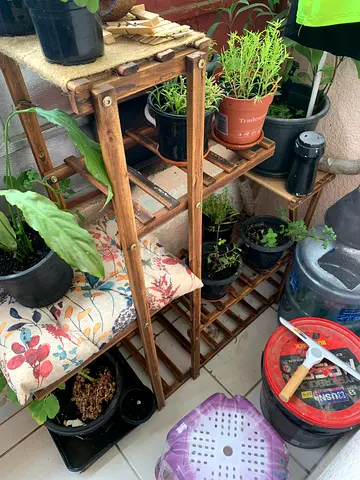 Wooden Multi-Tier Plant Stand / Shelf - Compact Balcony Garden Rack