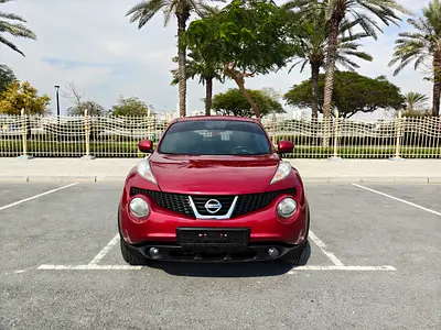 2013 Nissan JUKE 照片 9