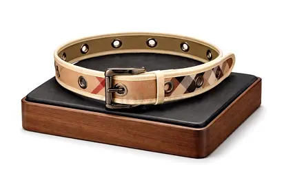 Burberry Check Eyelet Belt