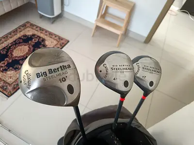 Golf Club Set + Bag (Callaway Big Bertha, Ping Irons)