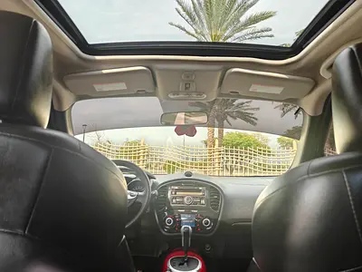 2013 Nissan JUKE 照片 3
