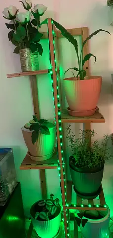Indoor/outdoor plants stand
