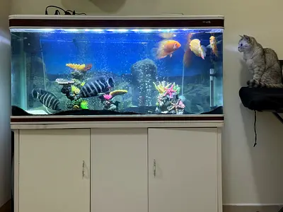 Only Aquarium accessories for sale - not full aquarium