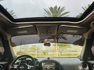 2013 Nissan JUKE 照片 2