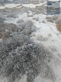 Residential land for sale in Al Shahba area, Sharjah