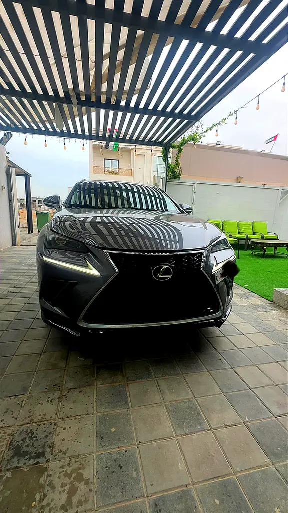 Lexus NX-Series 2019 — photo 1 of 16