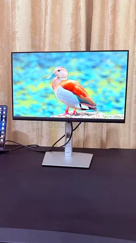 Dell 21.5” Full HD Monitor – P2222H