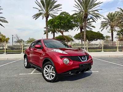 2013 Nissan JUKE 照片 8