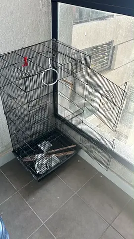 bird cage with perches and feeder - used