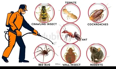 Pest control services