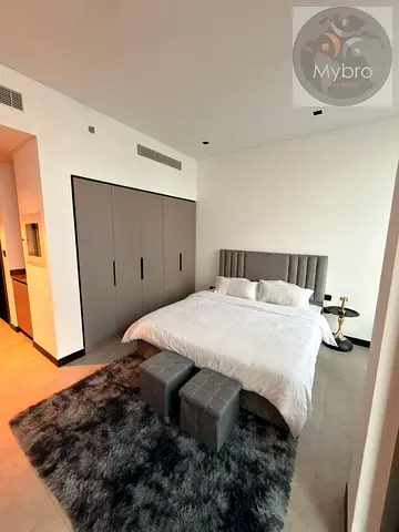 Studio /Fully Furnished / Luxurious