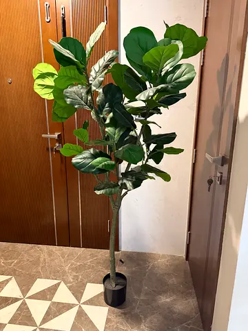 Artificial plant (big size)
