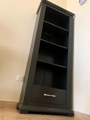 Bookshelf/Storage Cabinet