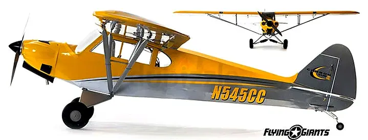 RC Airplane with Electronics  (PRICE DROP)