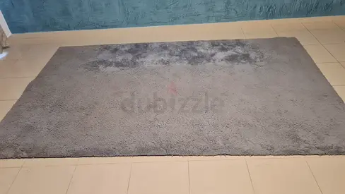2 Carpets Gray Color