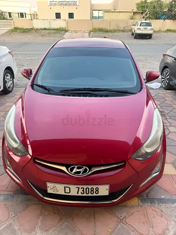 راس الخيمه النخيل