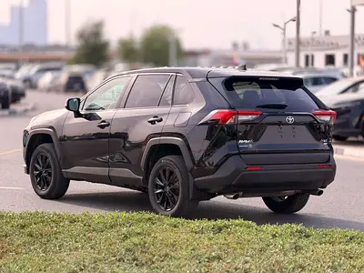 2024 Toyota RAV 4 照片 17