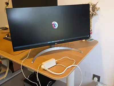 LG UltraWide Monitor 29” (29WQ600) – Excellent Condition