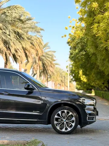 صورة 10 لـ 2018 BMW X5