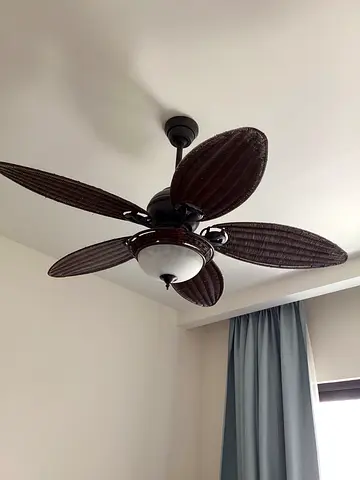Hunter Ceiling Fan