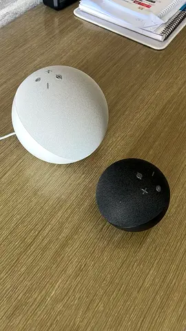 Pair of Alexa Amazon Echo Dot (3rd gen) and Echo (4th gen)