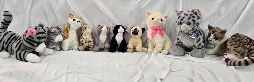 Lot of 11 Plush Cats and Kittens – Various Sizes, Gently Used