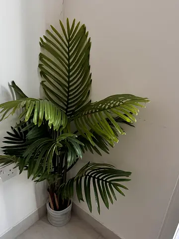 Artificial Areca plant
