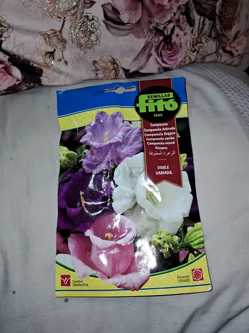 Mixed Petunia Flower Seed Pack — Unopened
