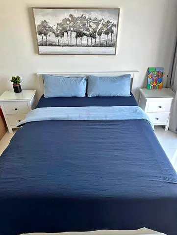 IKEA queen bed with mattress and 2 side drawers
