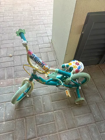Kid’s bike 2-4  years old