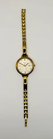 Titan Raga watch, model 2578