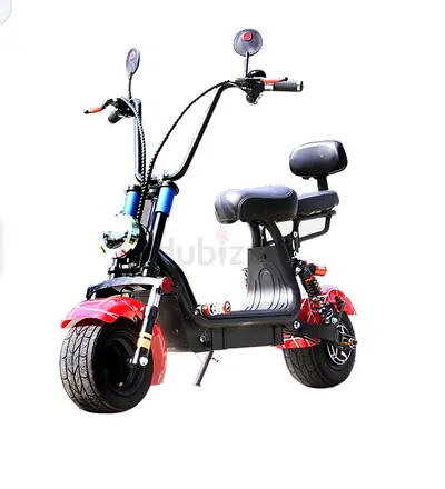 Electric Fat Tire Scooter with Double Seat and Backrest