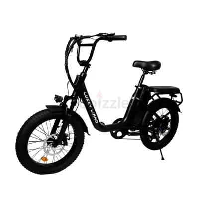LuckyLiang U03 Electric Bike 500W Motor, 45 KM/H Max Speed E-Bike