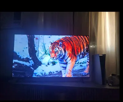 55-inch LED Smart TV in good working condition with box and Remote