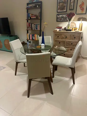 Set of 4 Chairs