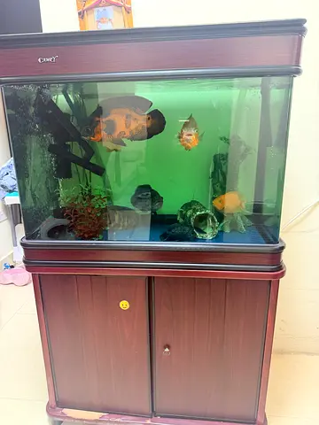 Aquarium and filter