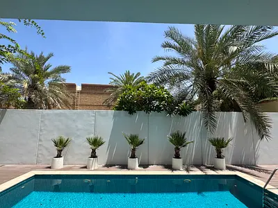 Outdoor poolside palm planters with ceramic pots - set of 5