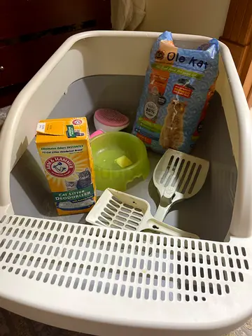 Used Cat Litter Box with Accessories — Scoops, Adult Cat Food, Bowl, Litter Deodorizer, Cat Brush