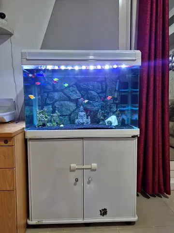 Aquarium - 80cm